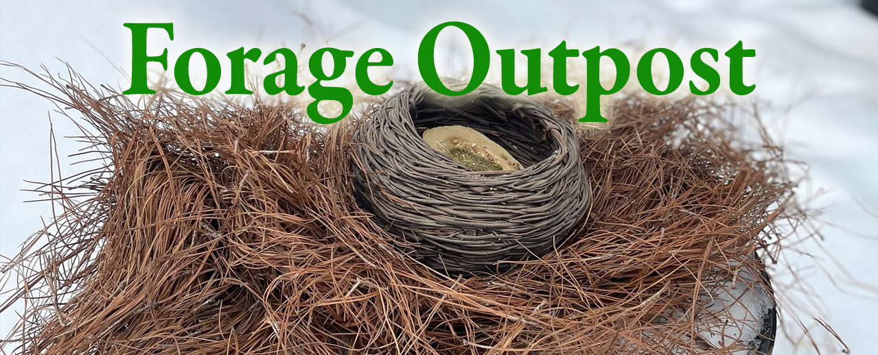 Forage Outpost